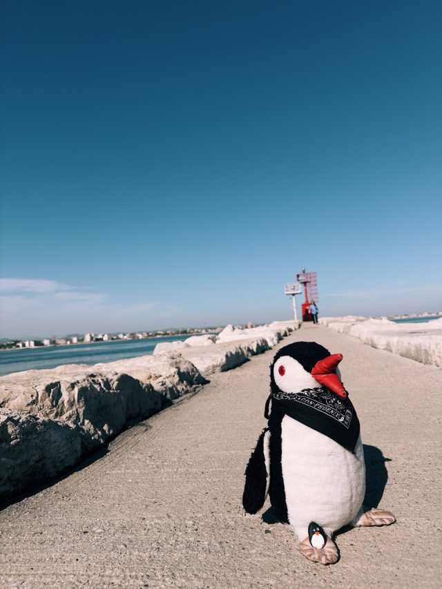 Hand-painted penguin stone #264 hidden at Parco Federico Fellini, Rimini, Italy (photo 2 of 5)