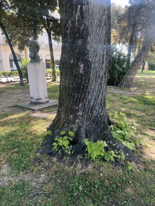 Hand-painted penguin stone #264 hidden at Parco Federico Fellini, Rimini, Italy (photo 3 of 5)