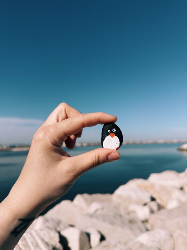 Hand-painted penguin stone #264 hidden at Parco Federico Fellini, Rimini, Italy (photo 5 of 5)