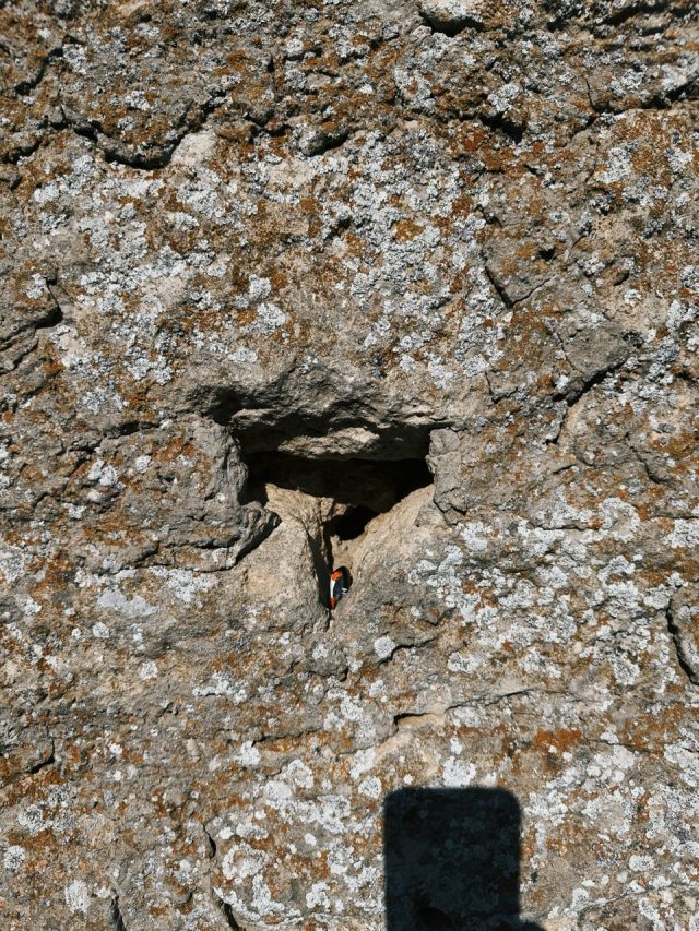 Hand-painted penguin stone #267 hidden at Montale Tower, San Marino, San Marino (photo 4 of 5)