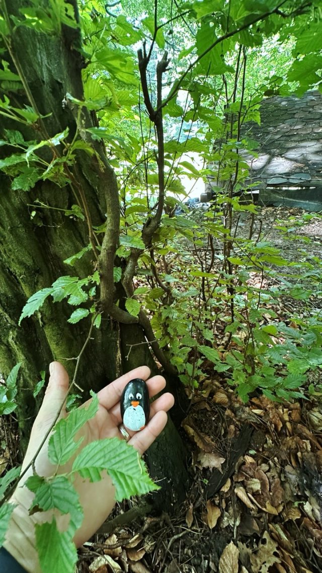 Hand-painted penguin stone #275 hidden at Kamzik, Bratislava, Slovakia (photo 2 of 5)