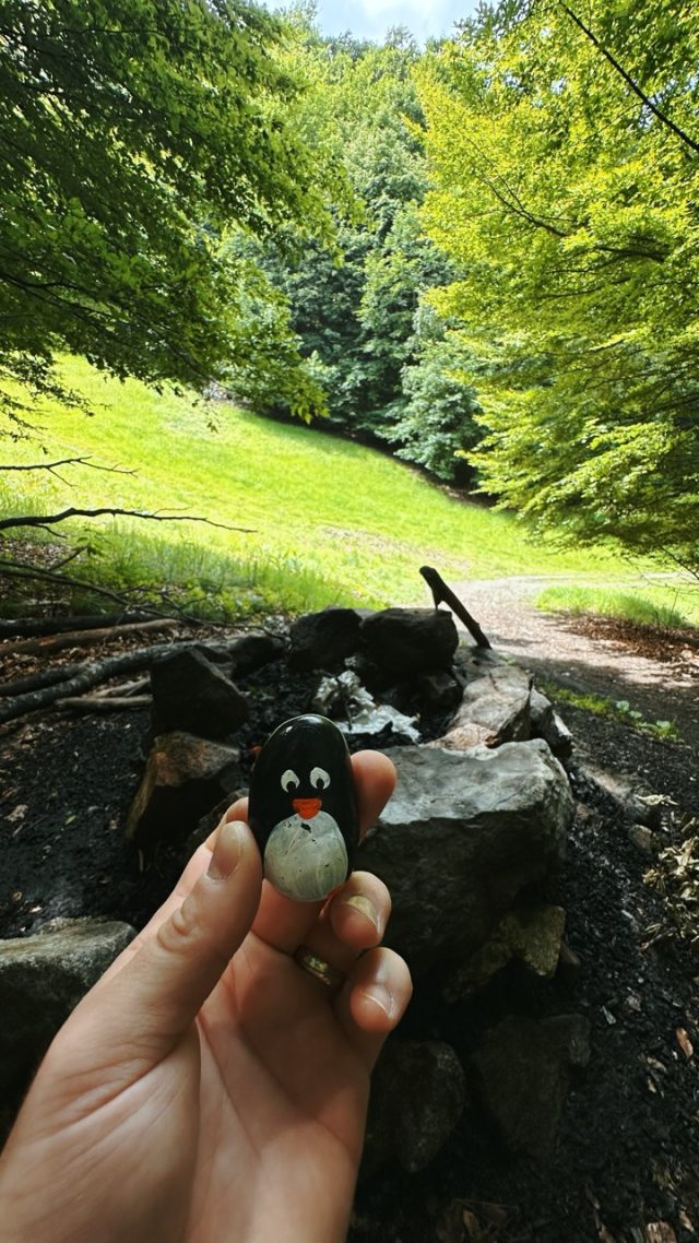 Hand-painted penguin stone #275 hidden at Kamzik, Bratislava, Slovakia (photo 3 of 5)