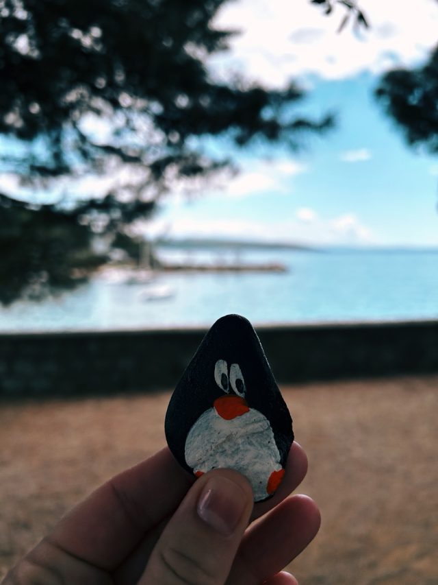 Hand-painted penguin stone #280 hidden at Beach, Krk, Croatia (photo 3 of 5)