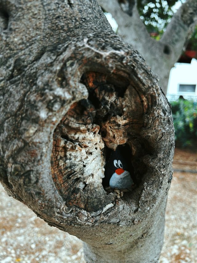Hand-painted penguin stone #280 hidden at Beach, Krk, Croatia (photo 5 of 5)