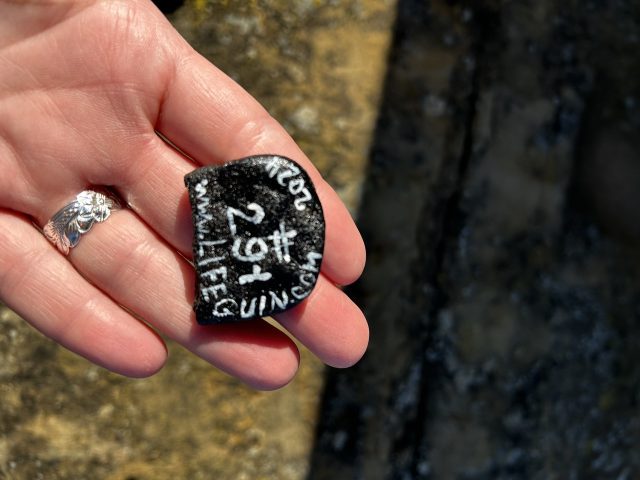 Hand-painted penguin stone #291 hidden at Mandrac, Izola, Slovenia (photo 2 of 4)