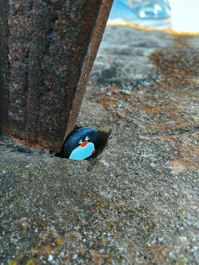 Hand-painted penguin stone #291 hidden at Mandrac, Izola, Slovenia (photo 3 of 4)