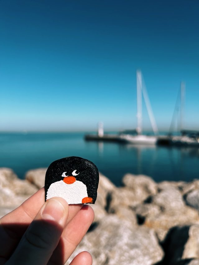 Hand-painted penguin stone #291 hidden at Mandrac, Izola, Slovenia (photo 4 of 4)
