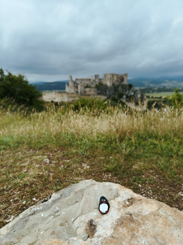 Hand-painted penguin stone #313 hidden at Beckov Castle, Beckov, Slovakia (photo 4 of 5)