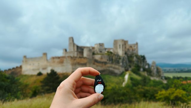 Ručne maľovaný tučniakový kameň č. 313 ukrytý na mieste Beckov Castle, Beckov, Slovensko
