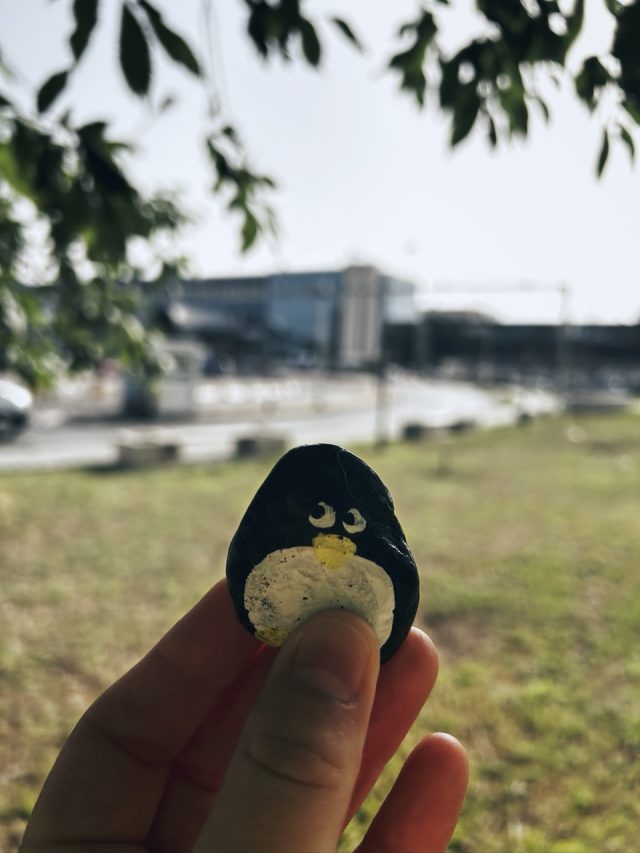 Hand-painted penguin stone #110 hidden at International Airport, Bucharest, Romania (photo 2 of 5)