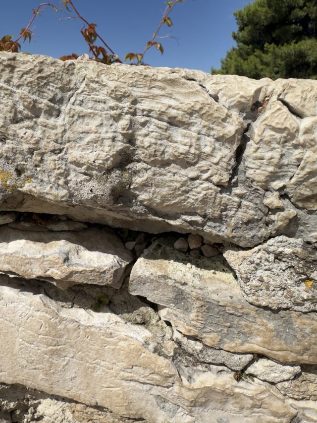Hand-painted penguin stone #127 hidden at Church of St. Euphemia, Rovinij, Croatia (photo 2 of 5)