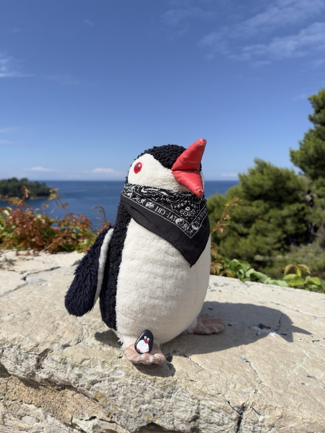 Hand-painted penguin stone #127 hidden at Church of St. Euphemia, Rovinij, Croatia (photo 5 of 5)