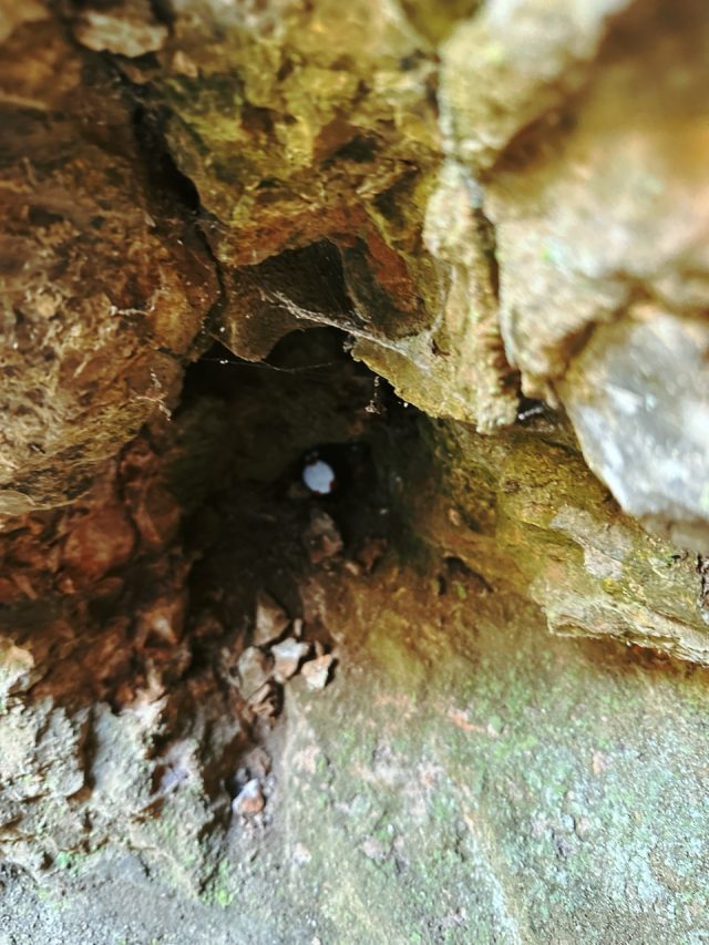 Hand-painted penguin stone #133 hidden at Skocjan Caves (outside), Skocjan Karst, Slovenia (photo 2 of 5)