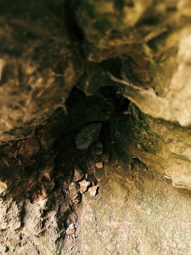 Hand-painted penguin stone #133 hidden at Skocjan Caves (outside), Skocjan Karst, Slovenia (photo 3 of 5)