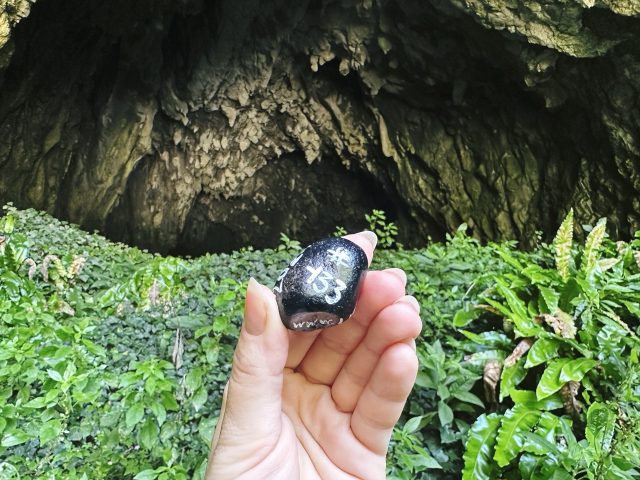 Hand-painted penguin stone #133 hidden at Skocjan Caves (outside), Skocjan Karst, Slovenia (photo 4 of 5)