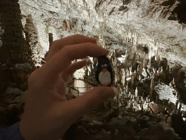 Hand-painted penguin stone #148 hidden at Postojna Cavne, Postojna, Slovenia (photo 4 of 5)