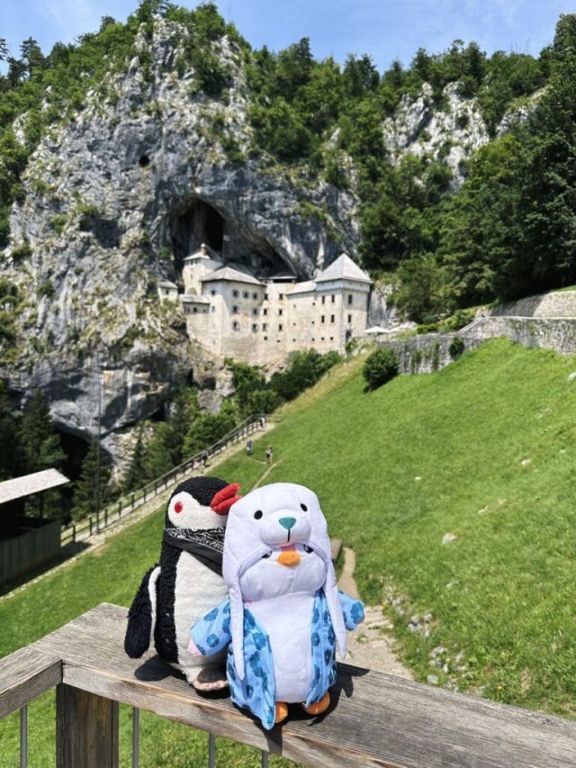 Hand-painted penguin stone #151 hidden at Predjama Castle, Predjama, Slovenia (photo 4 of 5)