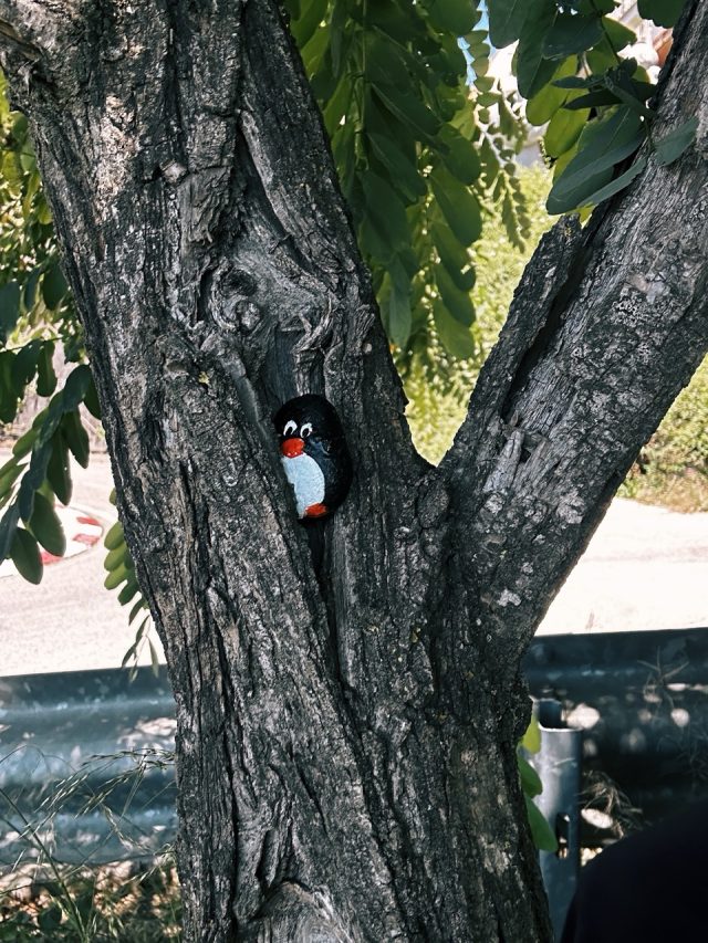 Hand-painted penguin stone #161 hidden at Tibidabo, Barcelona, Spain (photo 5 of 5)