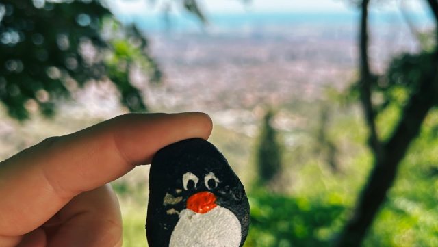 Ručne maľovaný tučniakový kameň č. 161 ukrytý na mieste Tibidabo, Barcelona, Španielsko