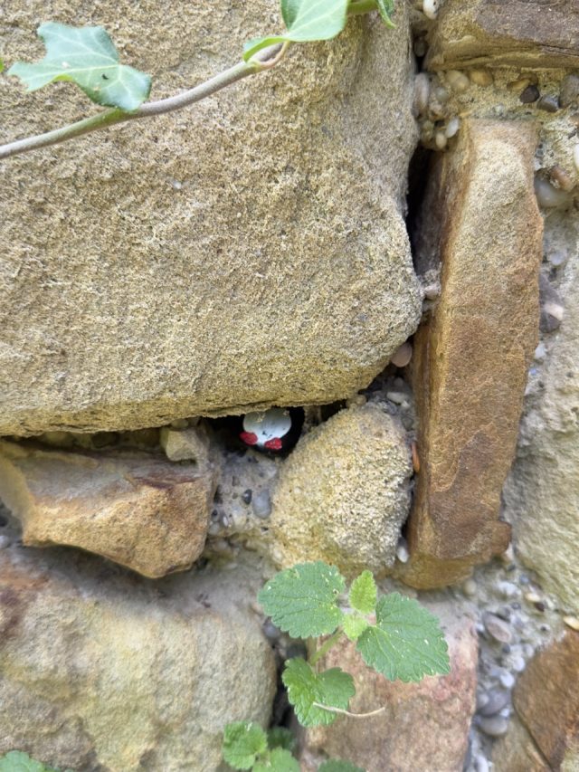 Hand-painted penguin stone #163 hidden at Kreuzenstein Castle, Leobendorf, Austria (photo 4 of 5)