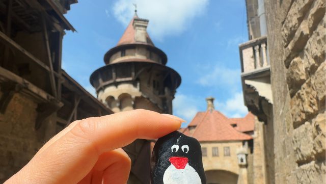 Ručne maľovaný tučniakový kameň č. 163 ukrytý na mieste Kreuzenstein Castle, Leobendorf, Rakúsko