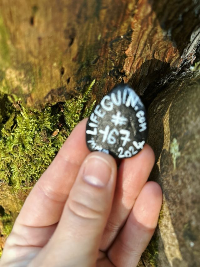Hand-painted penguin stone #167 hidden at Stadler Turm, Stadel bei Niederglatt, Switzerland (photo 2 of 4)