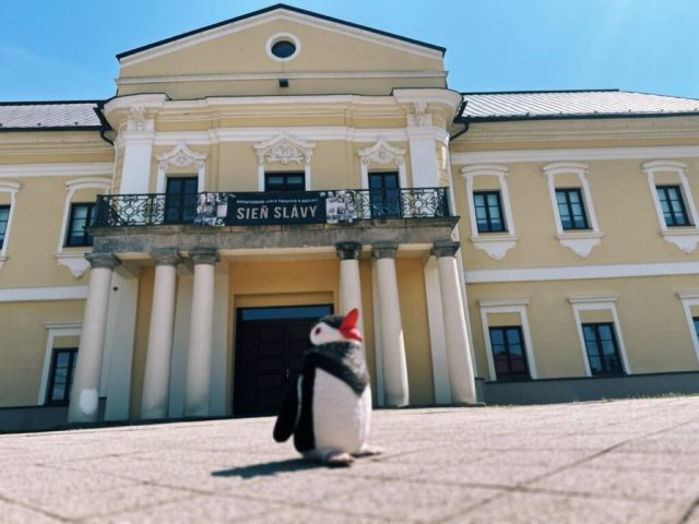 Hand-painted penguin stone #169 hidden at Manor House Snina, Snina, Slovakia (photo 2 of 5)