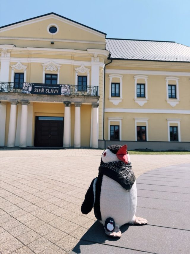 Hand-painted penguin stone #169 hidden at Manor House Snina, Snina, Slovakia (photo 4 of 5)