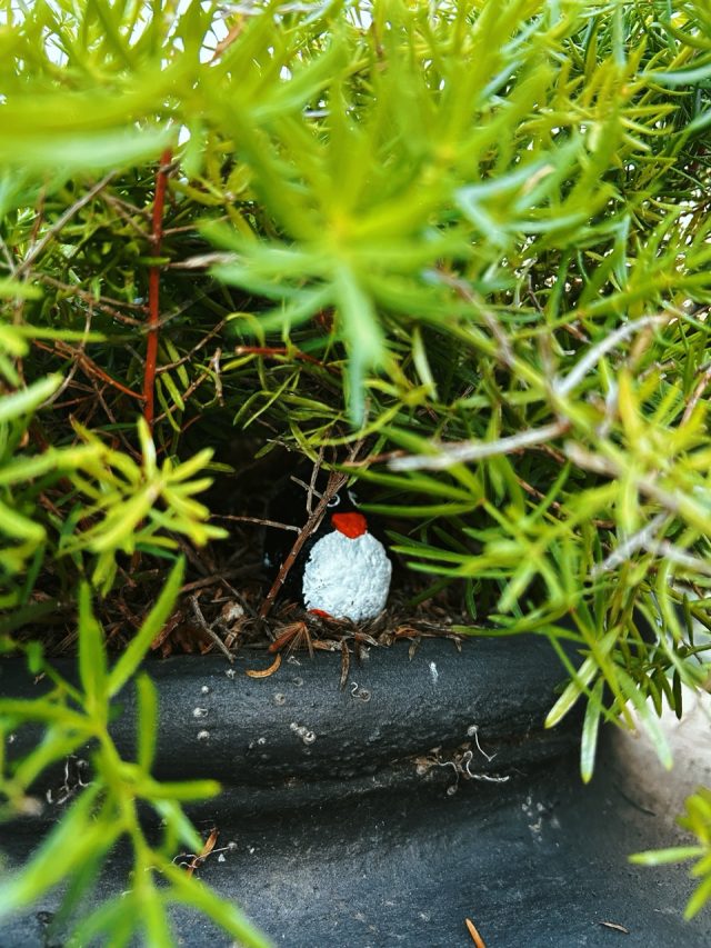 Hand-painted penguin stone #250 hidden at Ciutadella Park, Barcelona, Spain (photo 5 of 5)