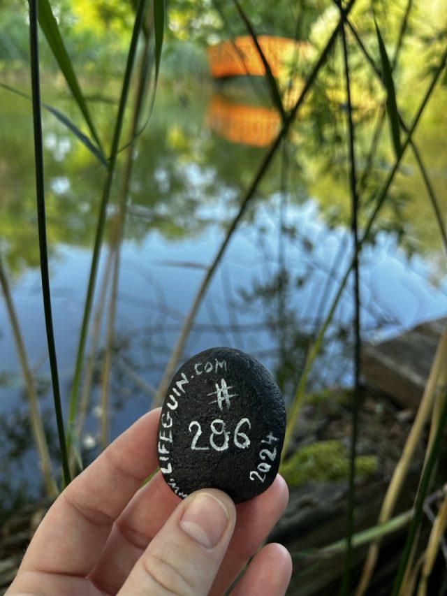 Hand-painted penguin stone #286 hidden at Pest County, middle of nowhere, Hungary (photo 2 of 4)