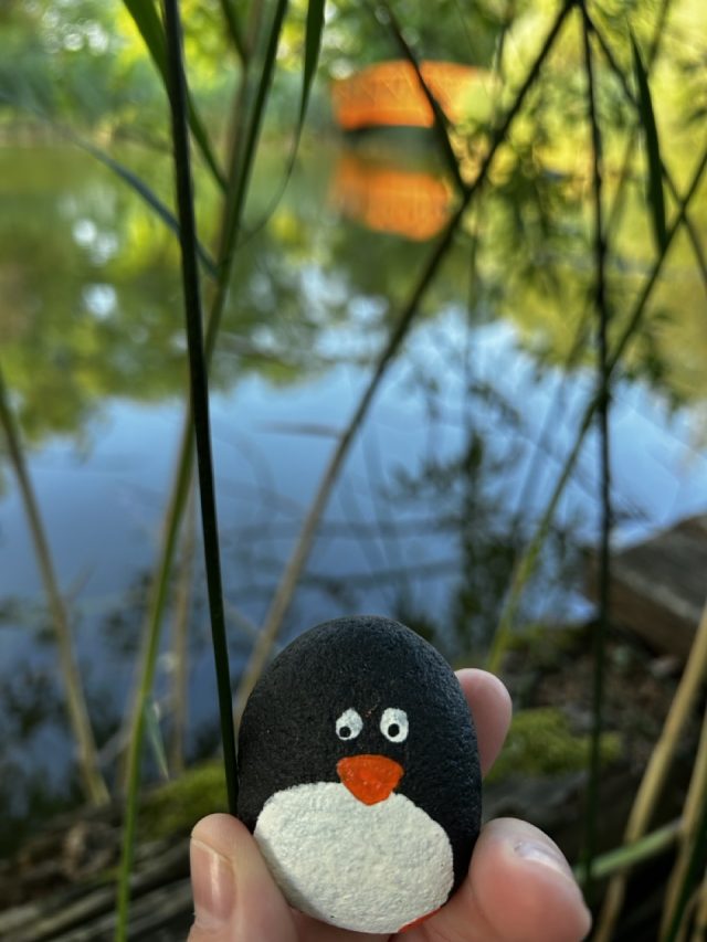 Hand-painted penguin stone #286 hidden at Pest County, middle of nowhere, Hungary (photo 3 of 4)