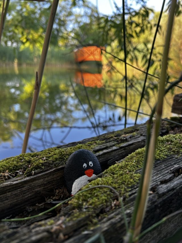 Hand-painted penguin stone #286 hidden at Pest County, middle of nowhere, Hungary (photo 4 of 4)