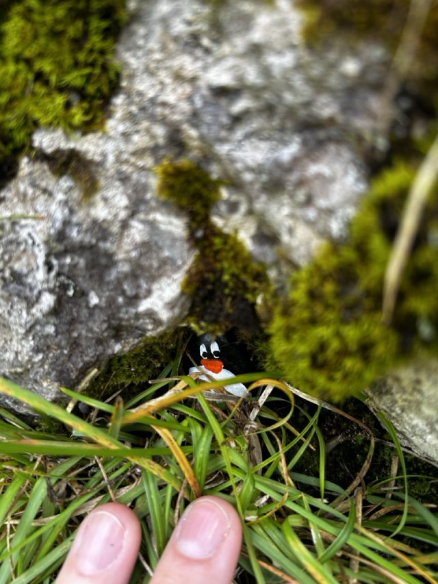 Hand-painted penguin stone #326 hidden at Alpkaserei Grosshutten, Switzerland (photo 4 of 5)