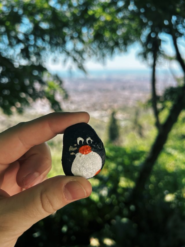 Hand-painted penguin stone #353 hidden at Sagenraintobel, Switzerland (photo 2 of 5)