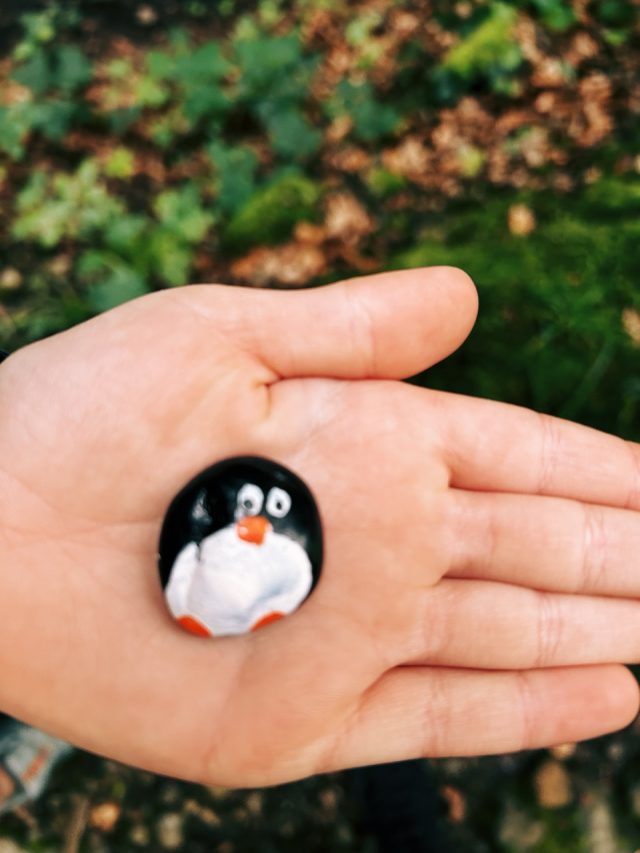 Hand-painted penguin stone #353 hidden at Sagenraintobel, Switzerland (photo 3 of 5)