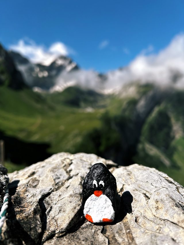 Hand-painted penguin stone #385 hidden at Appenzell Alps, Appenzell, Switzerland (photo 2 of 4)