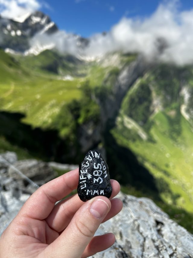 Hand-painted penguin stone #385 hidden at Appenzell Alps, Appenzell, Switzerland (photo 4 of 4)