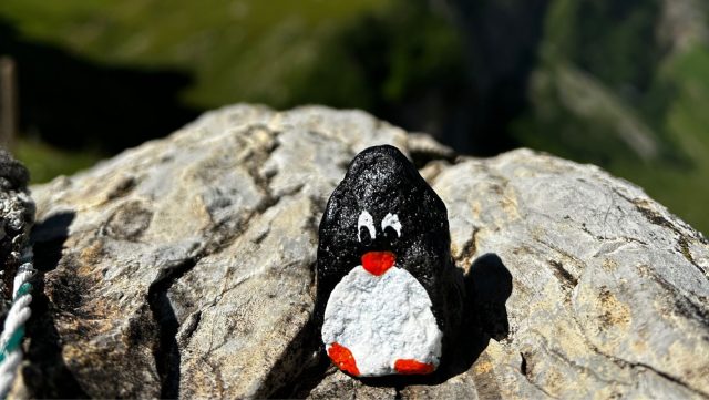 Ručne maľovaný tučniakový kameň č. 385 ukrytý na mieste Appenzell Alps, Appenzell, Švajčiarsko