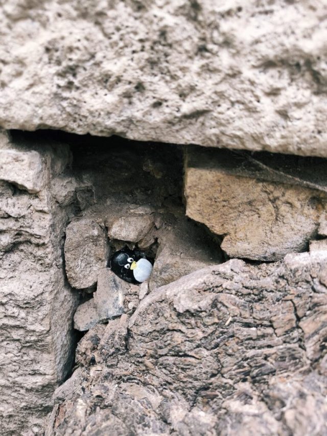 Hand-painted penguin stone #77 hidden at Vajdahunyad Castle, Budapest, Hungary (photo 3 of 5)