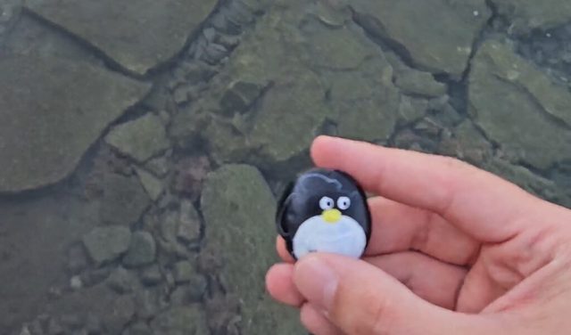 Hand-painted penguin stone #102 hidden at Marmaris Bay Resort, Marmaris, Turkiye (photo 2 of 5)