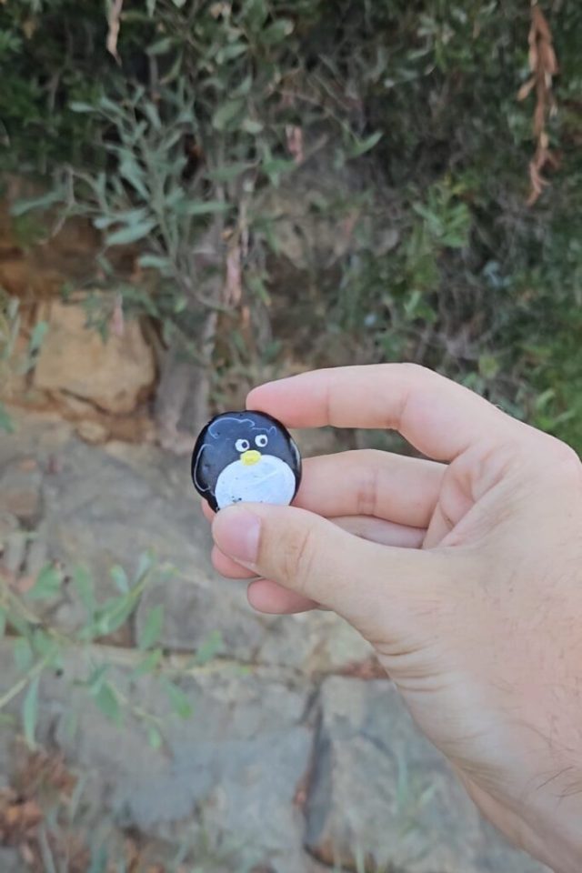 Hand-painted penguin stone #102 hidden at Marmaris Bay Resort, Marmaris, Turkiye (photo 3 of 5)