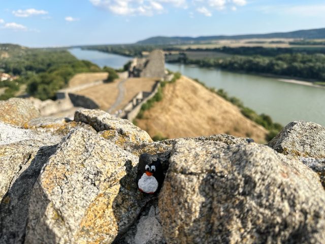 Hand-painted penguin stone #174 hidden at Devin Castle, Devin, Slovakia (photo 2 of 5)