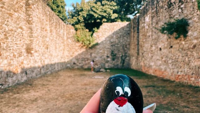 Ručne maľovaný tučniakový kameň č. 177 ukrytý na mieste Devin Castle Gardens, Devin, Slovensko