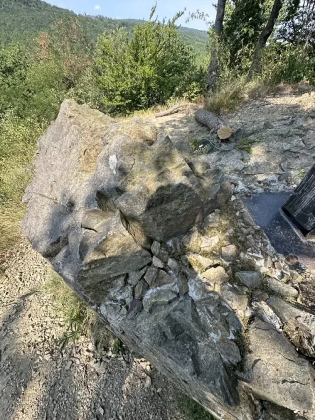 Hand-painted penguin stone #178 hidden at Mala Bana, Little Carpathians, Slovakia (photo 2 of 5)