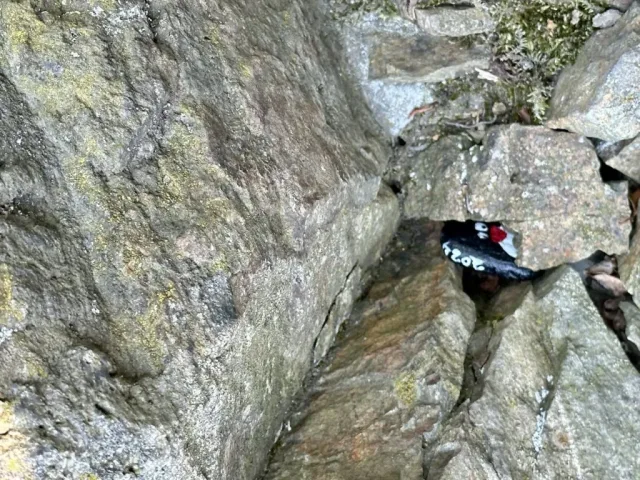 Hand-painted penguin stone #178 hidden at Mala Bana, Little Carpathians, Slovakia (photo 5 of 5)