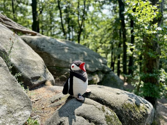 Hand-painted penguin stone #181 hidden at Stone Faces, Little Carpathians, Slovakia (photo 2 of 5)