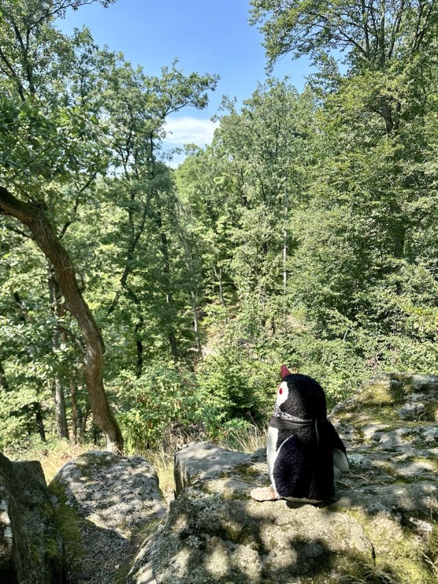 Hand-painted penguin stone #181 hidden at Stone Faces, Little Carpathians, Slovakia (photo 4 of 5)