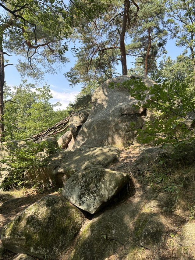 Hand-painted penguin stone #181 hidden at Stone Faces, Little Carpathians, Slovakia (photo 5 of 5)