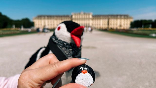 Ručne maľovaný tučniakový kameň č. 194 ukrytý na mieste Schönbrunn Palace, Vienna, Rakúsko