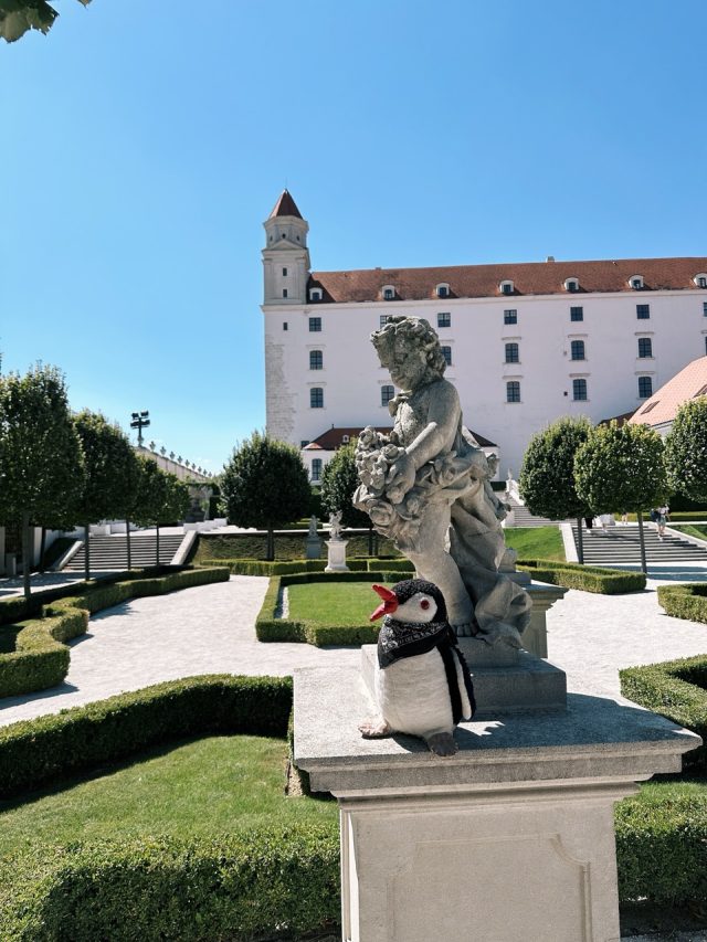 Hand-painted penguin stone #197 hidden at Bratislava Castle, Bratislava, Slovakia (photo 5 of 5)